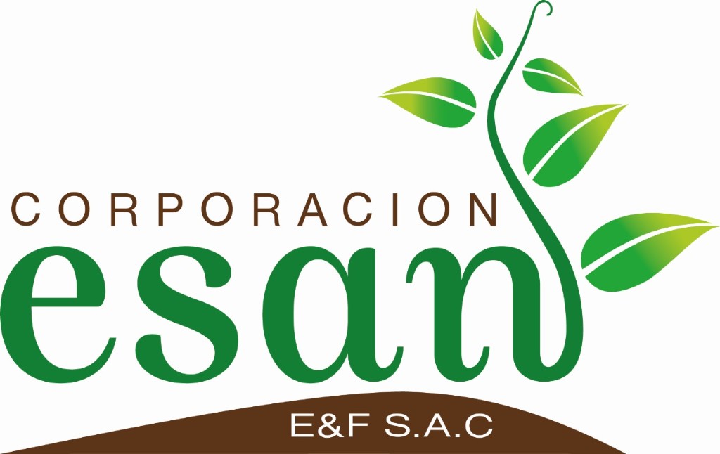 Logo Corporacion Esan